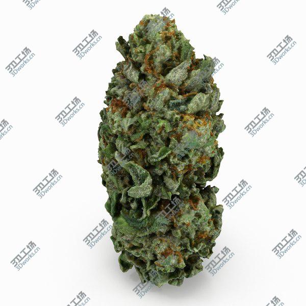 images/goods_img/20210312/Cannabis Bud 06 3D model/4.jpg